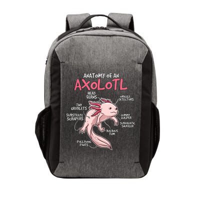 Kids Axolotl Gift Axolotl Stuff Anatomy Of An Axolotl Vector Backpack