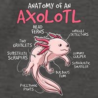 Kids Axolotl Gift Axolotl Stuff Anatomy Of An Axolotl Vector Backpack