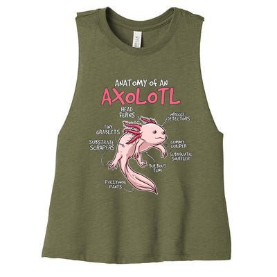 Kids Axolotl Gift Axolotl Stuff Anatomy Of An Axolotl Women's Racerback Cropped Tank