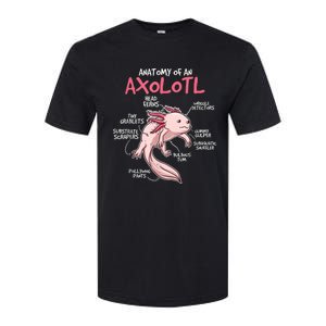 Kids Axolotl Gift Axolotl Stuff Anatomy Of An Axolotl Softstyle CVC T-Shirt