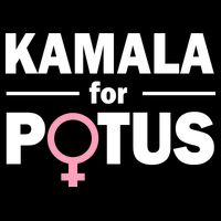 Kamala for Potus Impact Tech Backpack