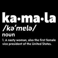 Kamala Harris Name Definition Vice President Hoodie