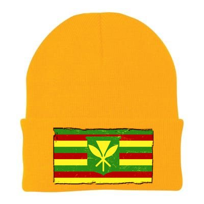 Kanaka Maoli Flag  Knit Cap Winter Beanie