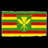 Kanaka Maoli Flag  Cooling Performance Crew T-Shirt