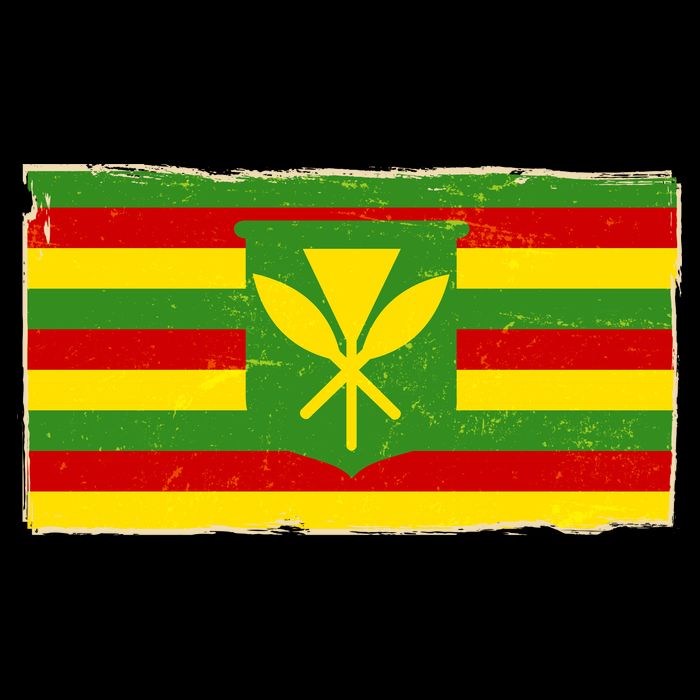 Kanaka Maoli Flag  Cooling Performance Crew T-Shirt