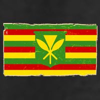 Kanaka Maoli Flag  11oz C Handle Ceramic Mug