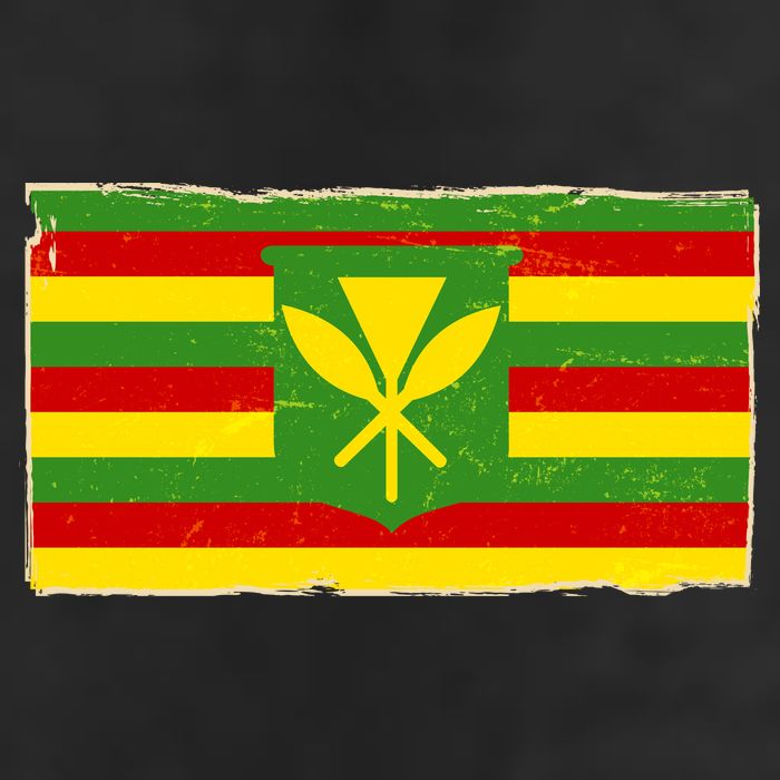 Kanaka Maoli Flag  11oz C Handle Ceramic Mug