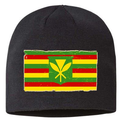 Kanaka Maoli Flag  Sustainable Beanie