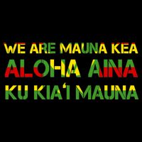 Kanaka Maoli Flag We Are Mauna Kea  16 in Basic Backpack