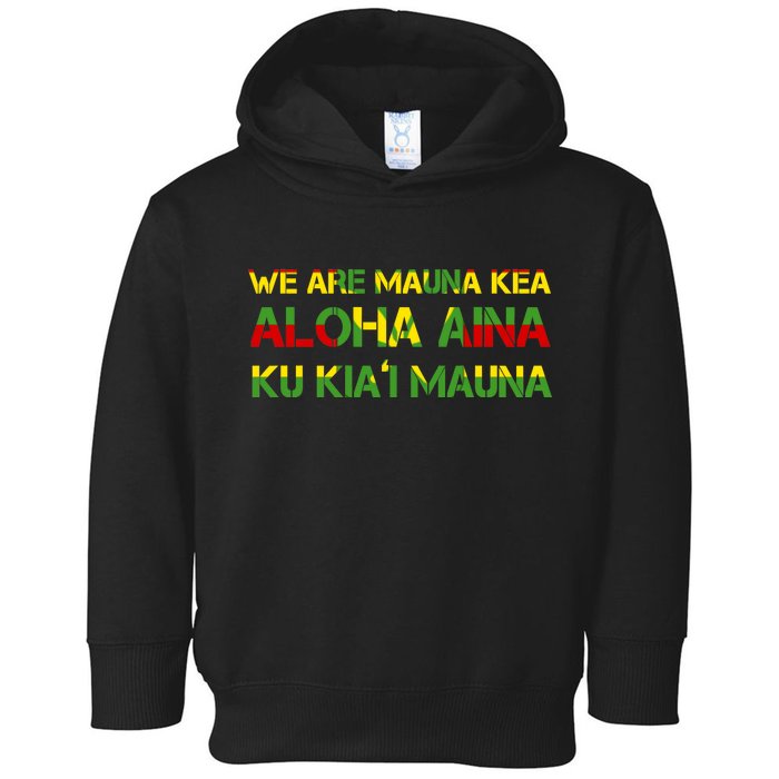 Kanaka Maoli Flag We Are Mauna Kea  Toddler Hoodie