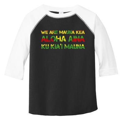 Kanaka Maoli Flag We Are Mauna Kea  Toddler Fine Jersey T-Shirt