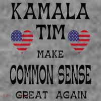 Kamala And Tim Make Common Sense Great Again Premium 7-Panel Snapback Hat