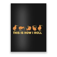 Kiwi Bird Australia Souvenir This Is How I Roll Kiwi Poster
