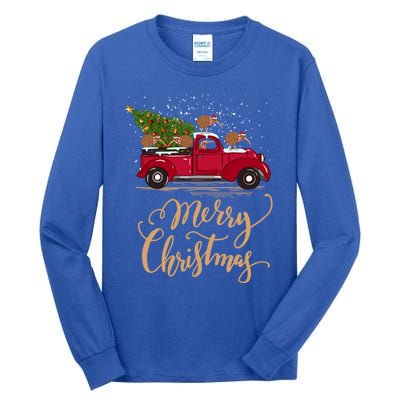 Kiwi Bird Driving Christmas Tree Truck Kiwi Christmas Gift Tall Long Sleeve T-Shirt