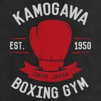 Kamogawa Boxing Gym Adult Drive Performance Visor