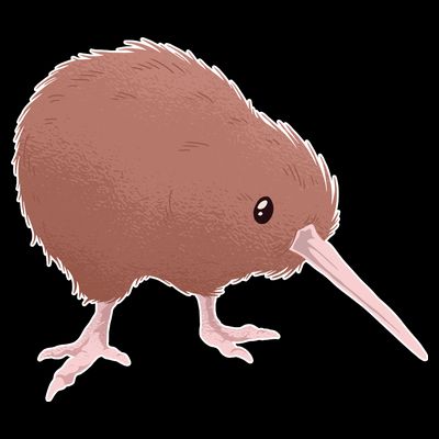 Kiwi Bird T-Shirt