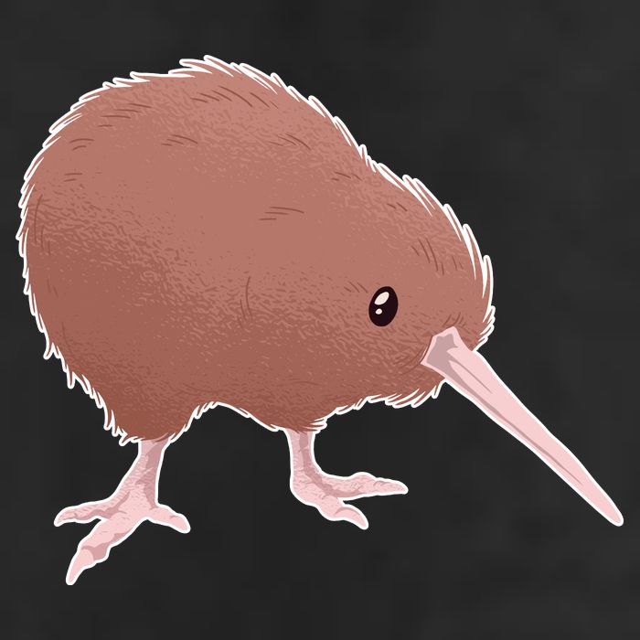 Kiwi Bird Adult Drive Performance Visor