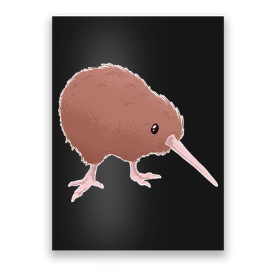 Kiwi Bird Poster
