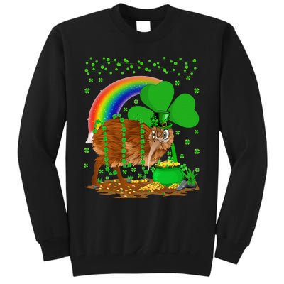 Kiwi Bird Lover Shamrock Rainbow Kiwi Bird St Patrick's Day Tall Sweatshirt