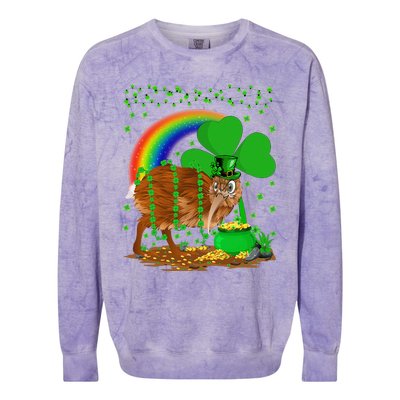 Kiwi Bird Lover Shamrock Rainbow Kiwi Bird St Patrick's Day Colorblast Crewneck Sweatshirt