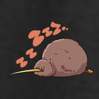 Kiwi Bird Sleeping Tired Pajama Graphic Adult Drive Performance Visor