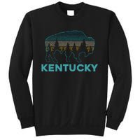 Kentucky Bison Vintage American Buffalo Souvenir Gift Sweatshirt