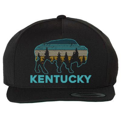 Kentucky Bison Vintage American Buffalo Souvenir Gift Wool Snapback Cap