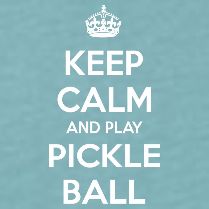 KEEP CALM AND PLAY PICKLEBALL Sueded Cloud Jersey T-Shirt