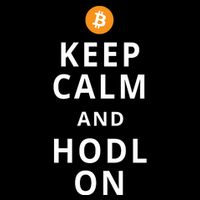 Keep Cam And Hodl On Bitcoin Performance Shirt