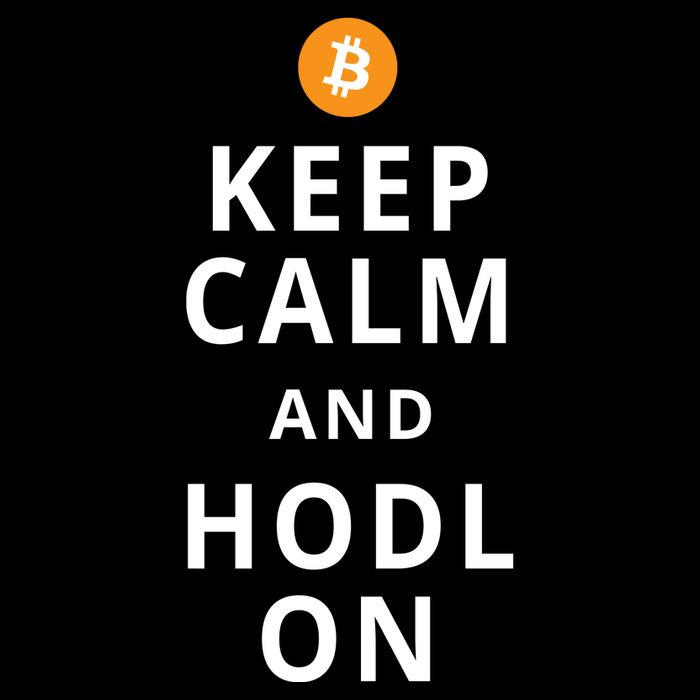 Keep Cam And Hodl On Bitcoin 16 in Basic Backpack