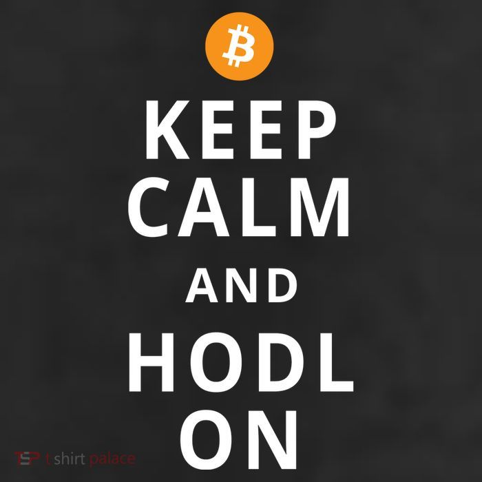 Keep Cam And Hodl On Bitcoin 25L Jumbo Tote