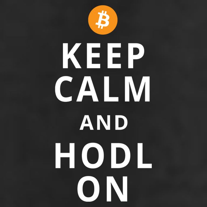 Keep Cam And Hodl On Bitcoin Hat