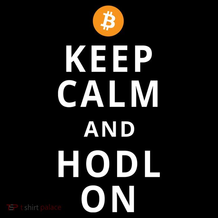 Keep Cam And Hodl On Bitcoin Toddler T-Shirt