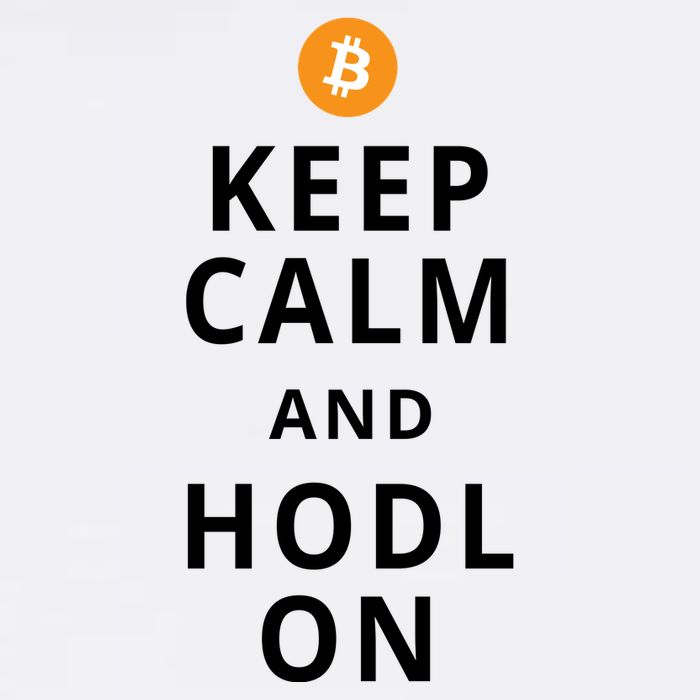 Keep Cam And Hodl On Bitcoin Garment-Dyed Sweatshirt