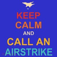 Keep Calm And Call An Airstrike Sustainable Beanie