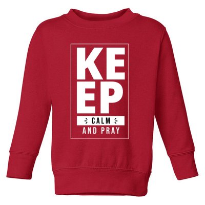 Keep Calm And Party Funny Slogan Toddler Sweatshirt