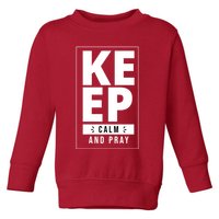 Keep Calm And Party Funny Slogan Toddler Sweatshirt