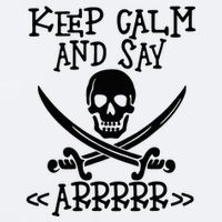Keep Calm And Say Arrrr Talk Like A Pirate Day Sueded Cloud Jersey T-Shirt