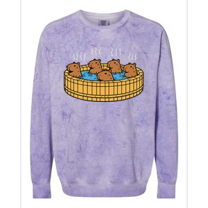 Kawaii Capybara Bath Onsen Colorblast Crewneck Sweatshirt