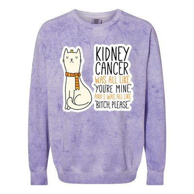 Kidney Cancer Fighter Survivor Quote With Cat Funny Gift Colorblast Crewneck Sweatshirt