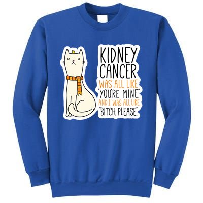 Kidney Cancer Fighter Survivor Quote With Cat Funny Gift Sweatshirt