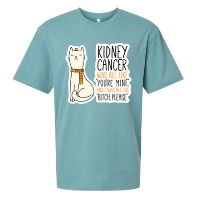 Kidney Cancer Fighter Survivor Quote With Cat Funny Gift Sueded Cloud Jersey T-Shirt