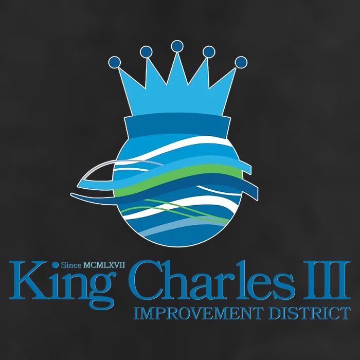 King Charles III Improvement District Cool Comfort Performance Bucket Hat
