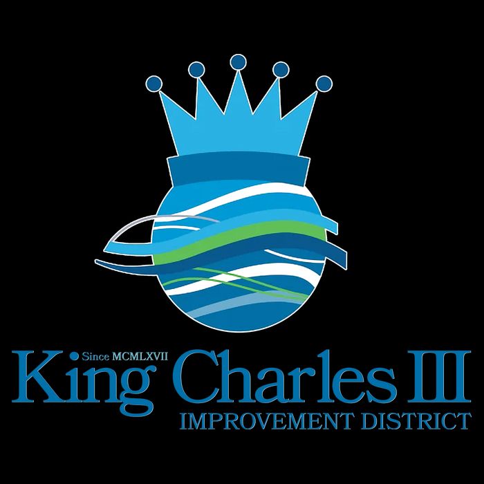 King Charles III Improvement District USA-Made Doggie Bandana