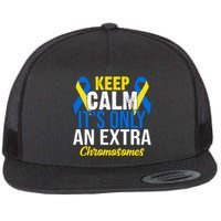 Keep Calm Its Only An Extra Chromosomes Down Syndrome Flat Bill Trucker Hat