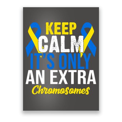 Keep Calm Its Only An Extra Chromosomes Down Syndrome Poster