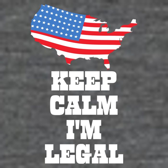 Keep Calm IM Legal 7 Panel Mesh Trucker Snapback Hat