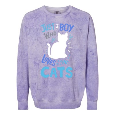 Kids Cat Just A Boy Who Loves Cats Gift For Cat Lovers TShirt Colorblast Crewneck Sweatshirt