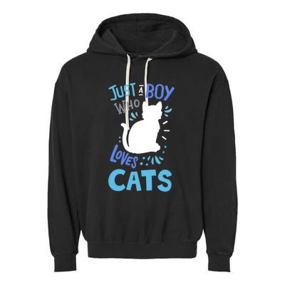 Kids Cat Just A Boy Who Loves Cats Gift For Cat Lovers TShirt Garment-Dyed Fleece Hoodie