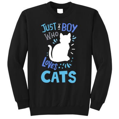 Kids Cat Just A Boy Who Loves Cats Gift For Cat Lovers TShirt Sweatshirt